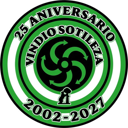 Escudo del 25 aniversario, 2002-2027